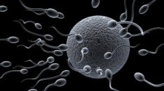 How to Increase Low Sperm Count in Men