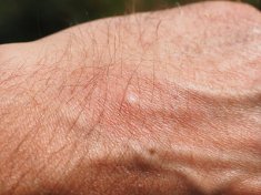 Close-up of hair on a mans hand